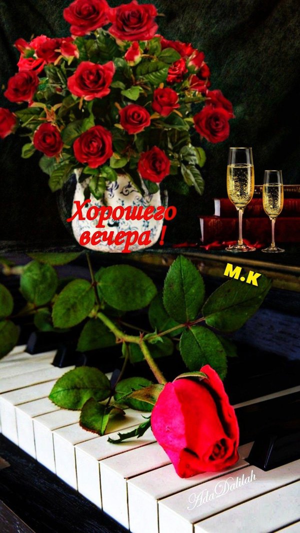 прекрасно вечера