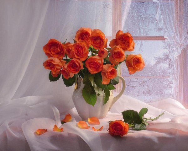 фотонатюрморты валентина колова