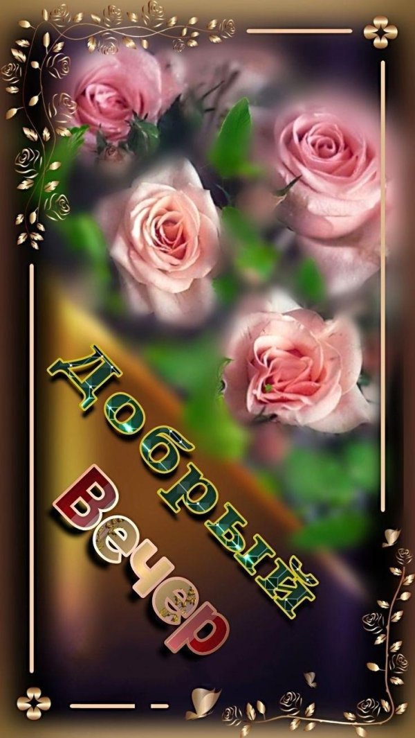 доброго вечера женщине