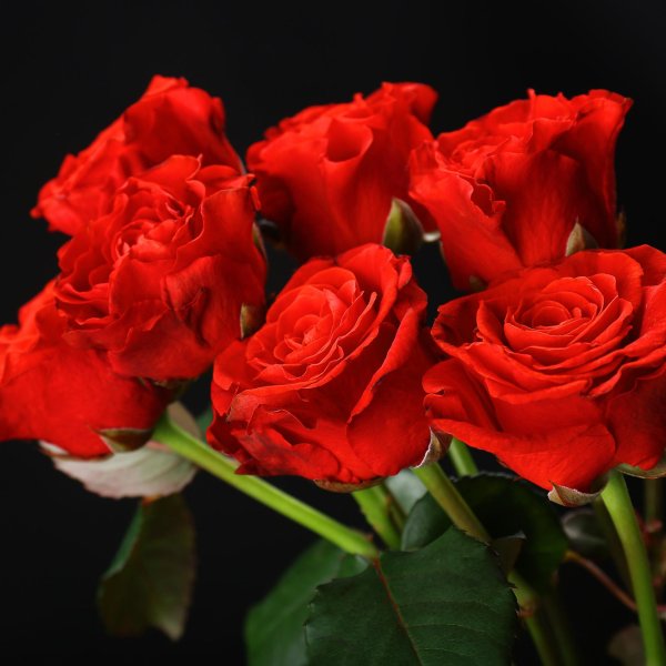 букет алых роз