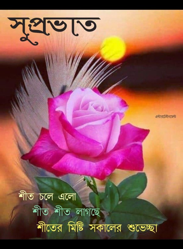 good evening message