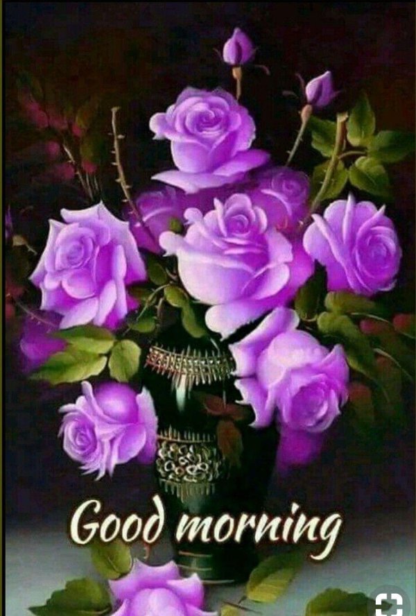 спокойной ночи цветы