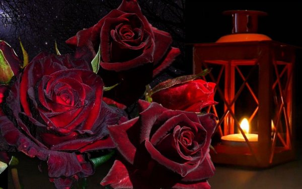 отличного вечера