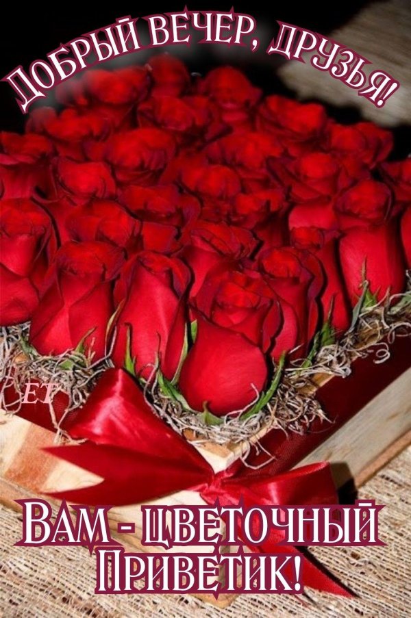 вечера доброго