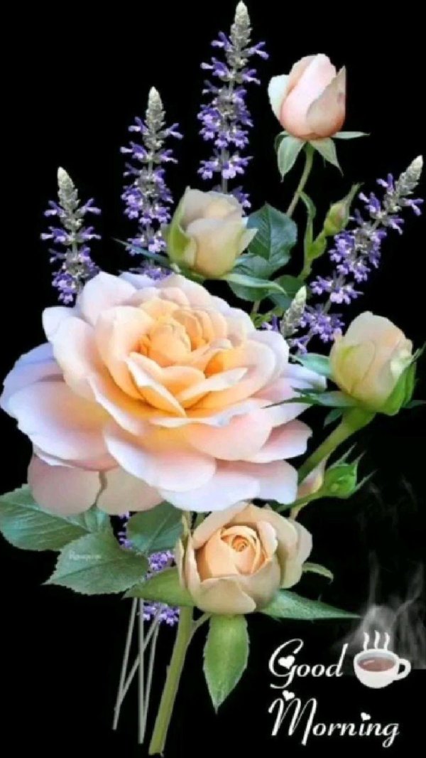 цветок красивый