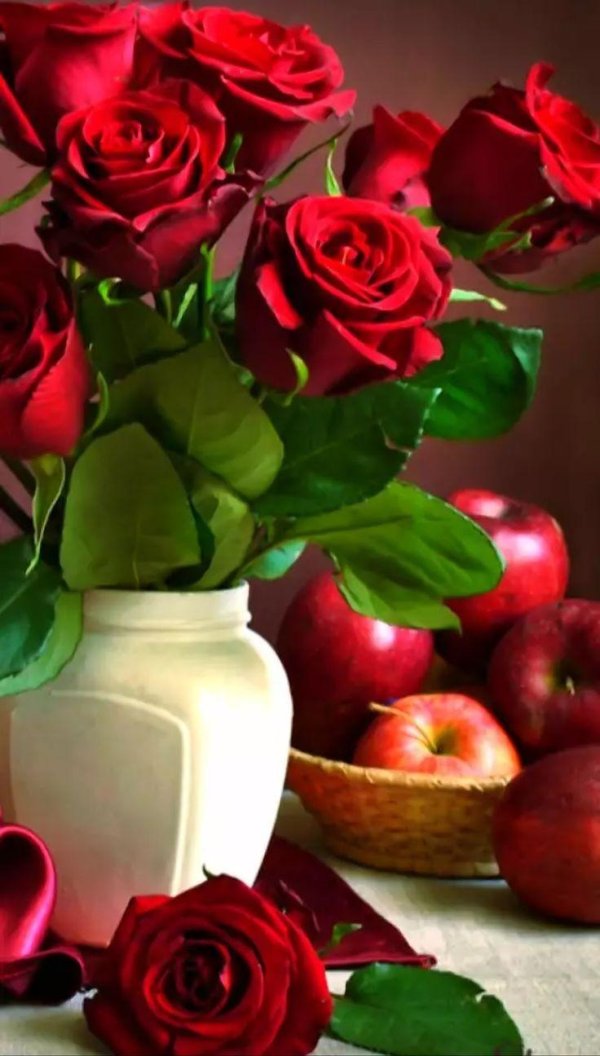 натюрморт с розами