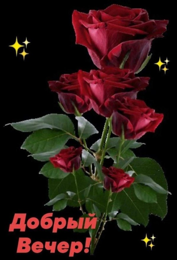 анимированные цветы