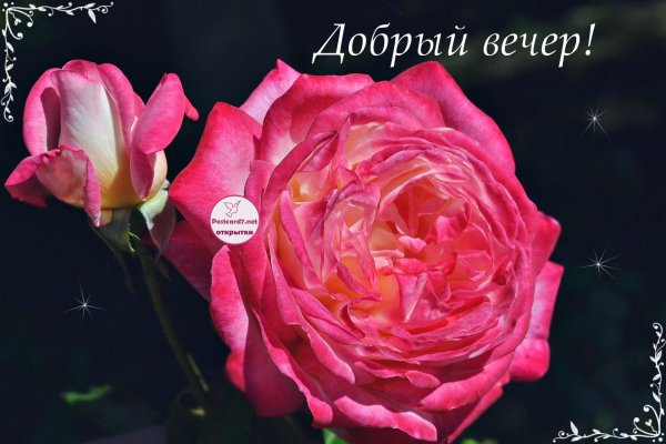 чудесного вечера