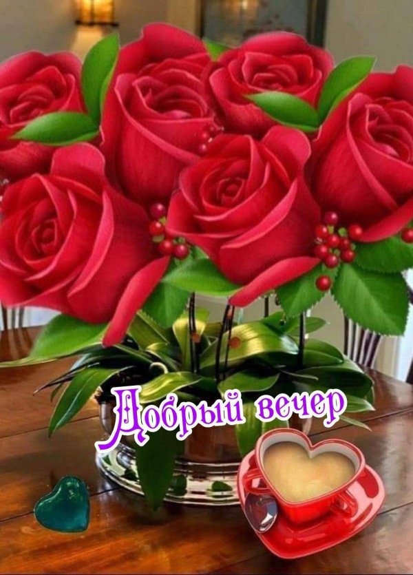 доброе утро розы