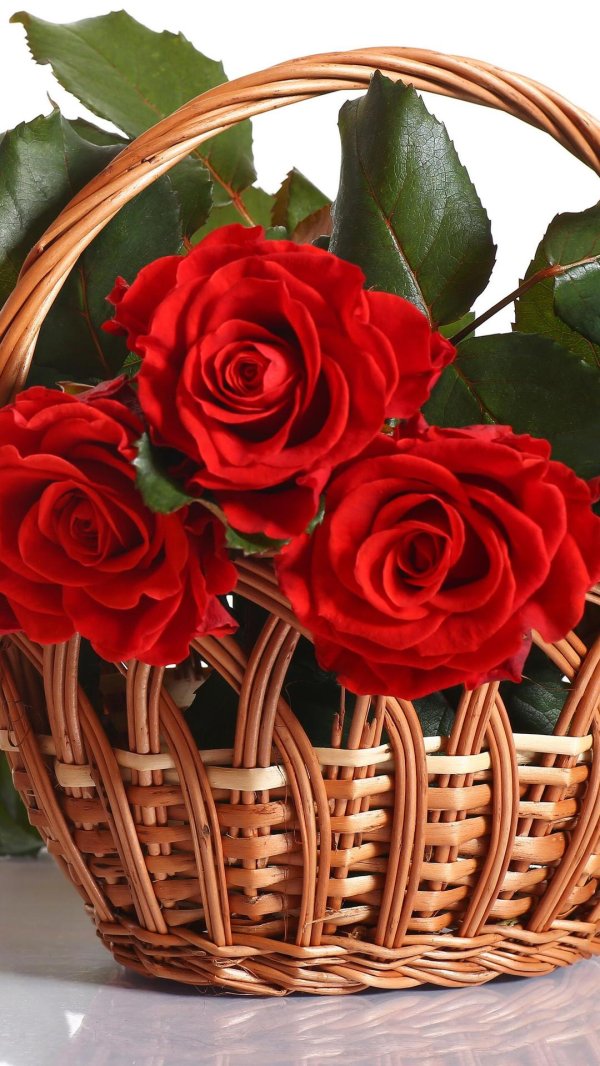 корзинка с цветами