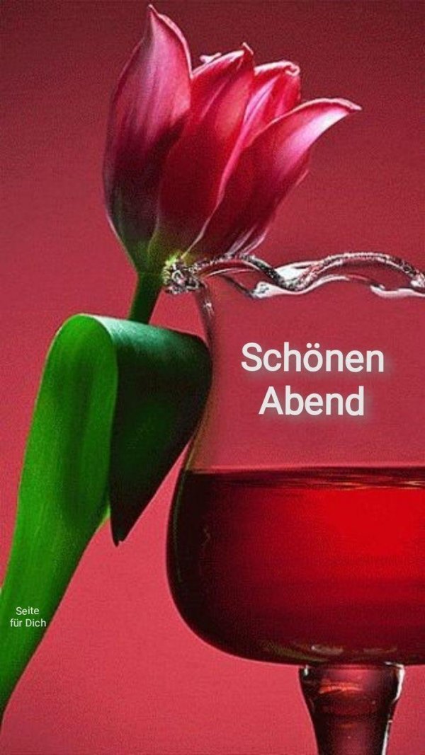 schönen abend