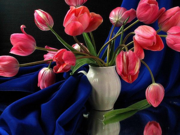тюльпан в вазе