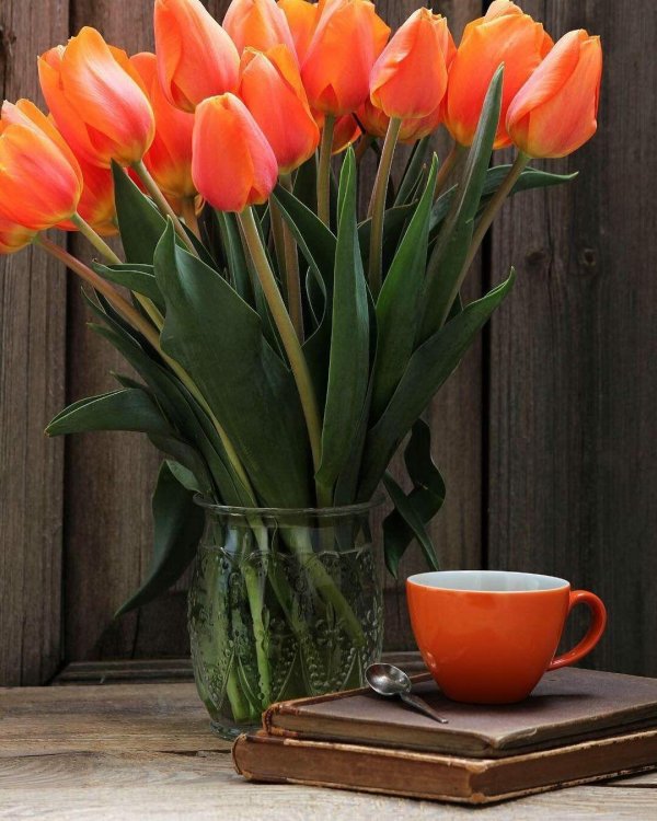 теплого доброго утра