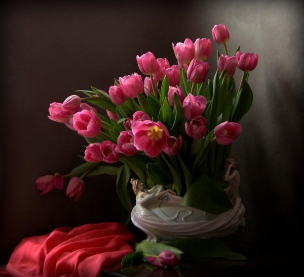 букет тюльпан