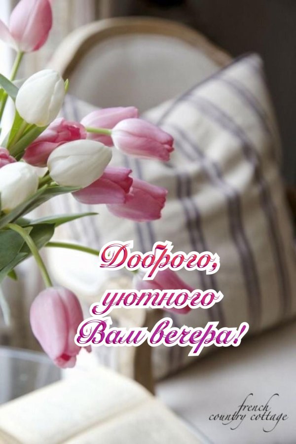 Добрый вечер с тюльпанами