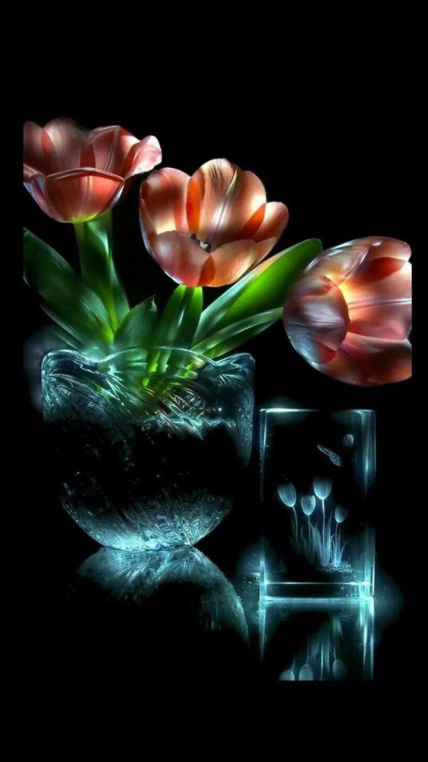 цветы добрый вечер