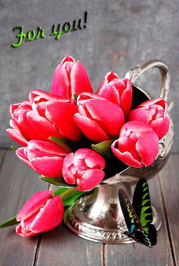 шикарные тюльпаны