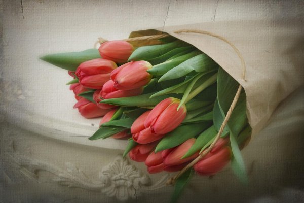 букет тюльпанов пинтерест