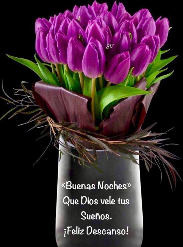 buenas noches bendiciones