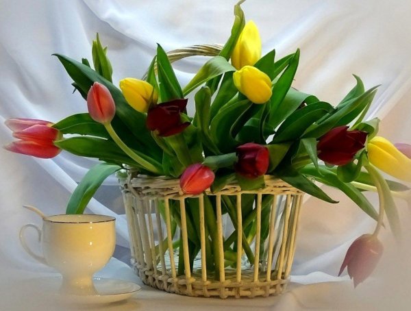 красивый весенний букет тюльпанов