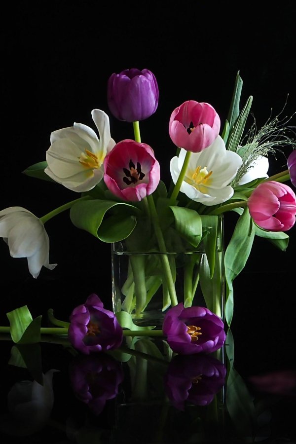 тюльпан в вазе