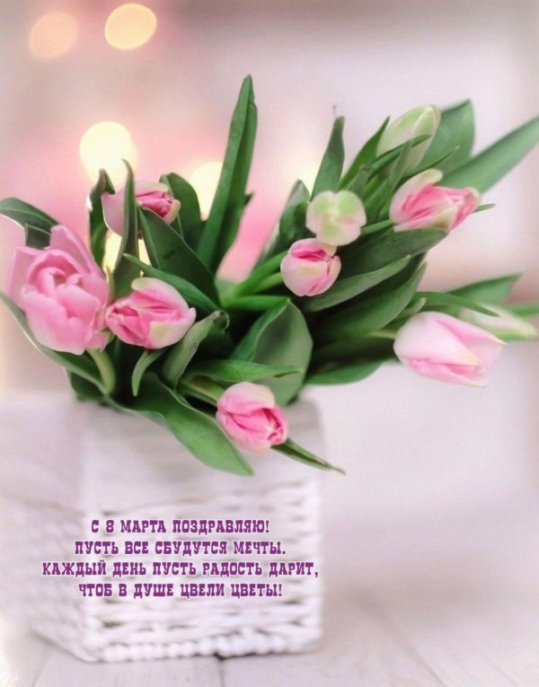 цветы на 8 марта
