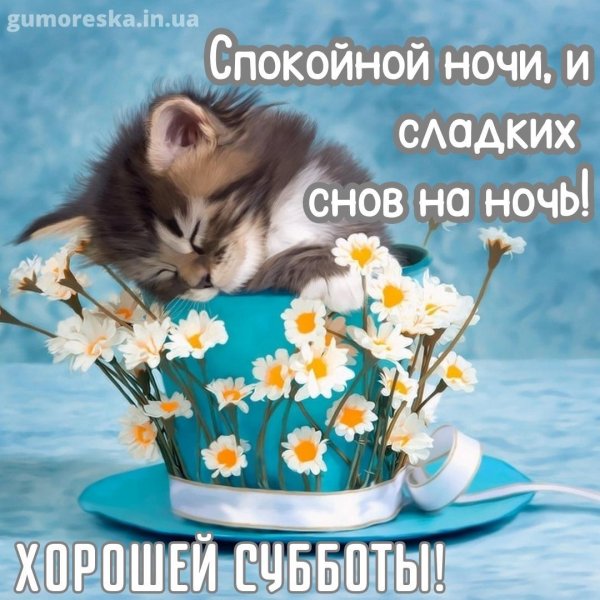 пожелание спокойной ночи