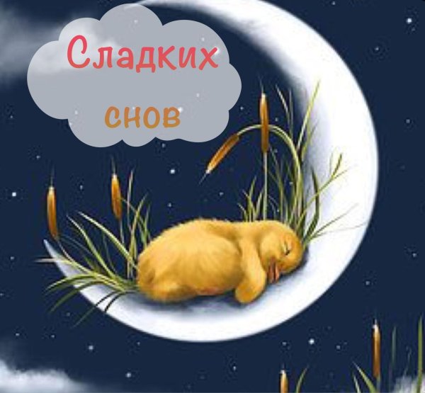 сладкие сны