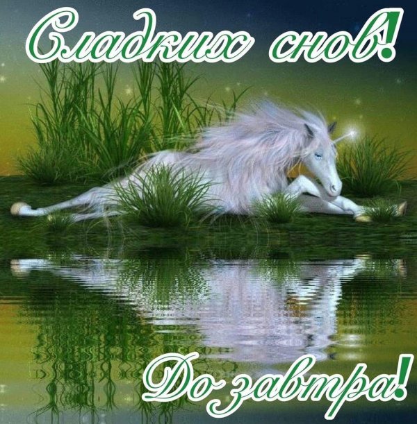 спок ночи открытка