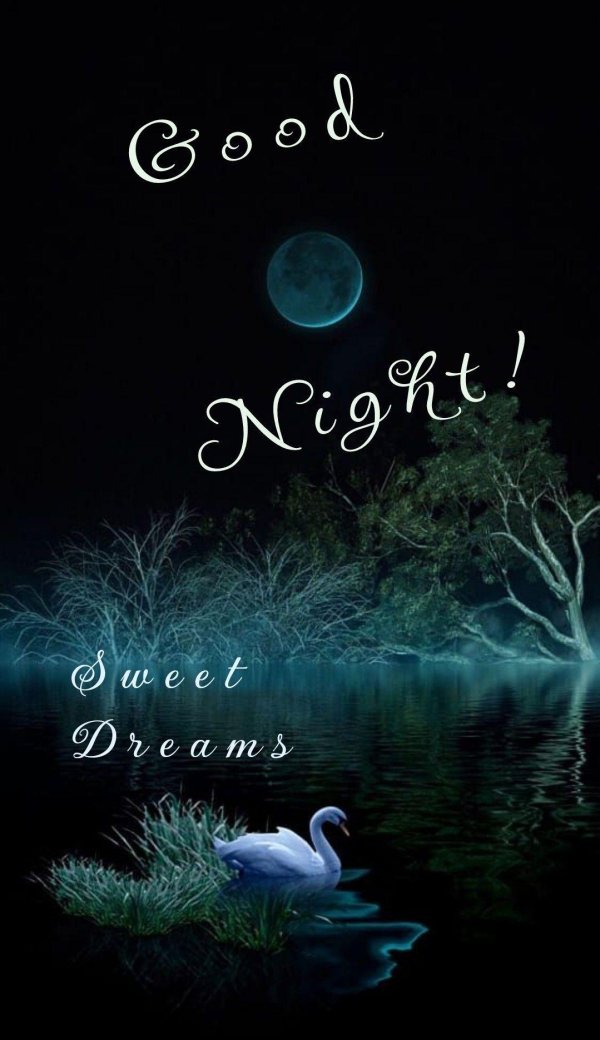 good night sweet dreams