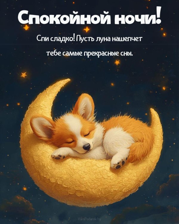 доброй ночи сладких снов