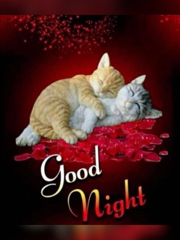 good night sweet dreams