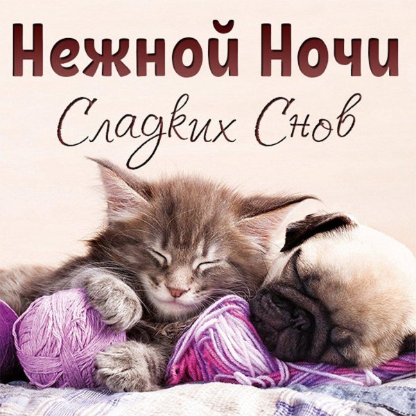 доброго сна