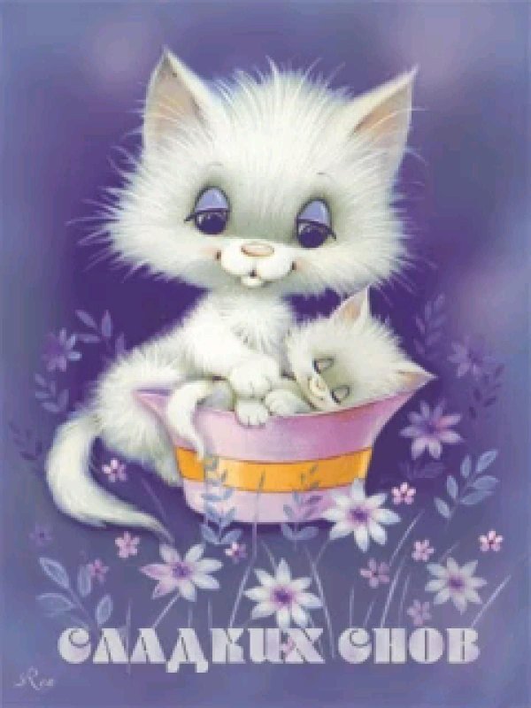 открытки с кошечками милые