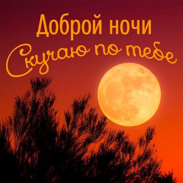 добрая ночь