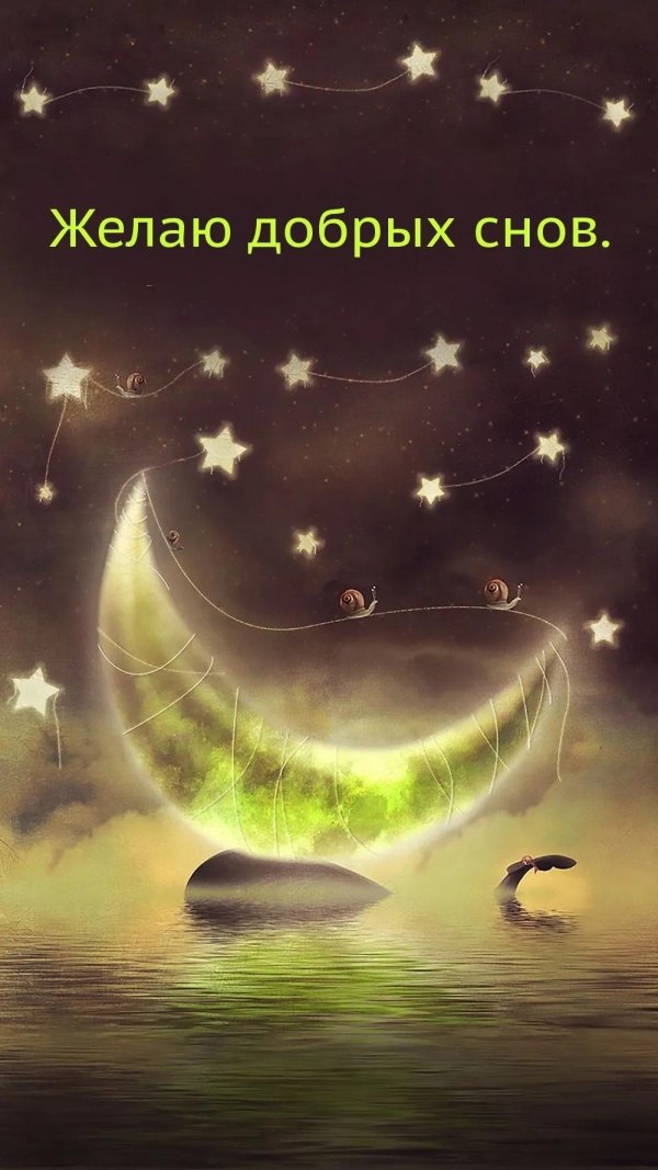 волшебная ночь