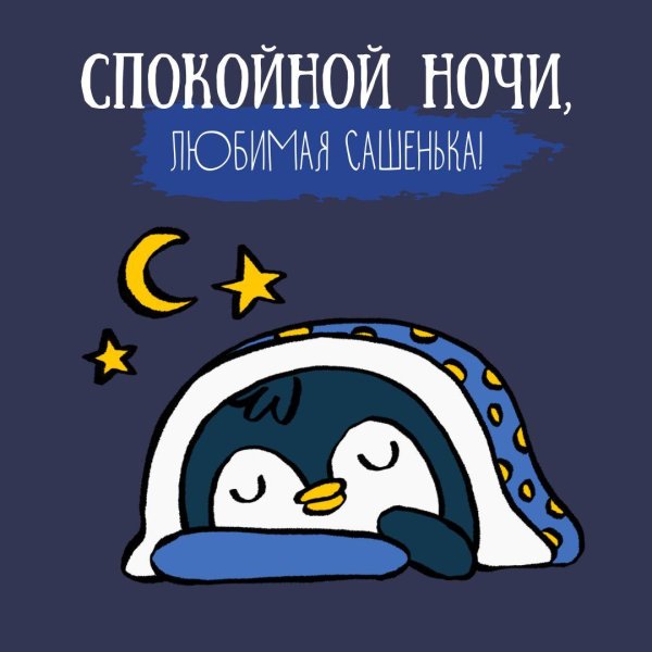 пингвинчик спит