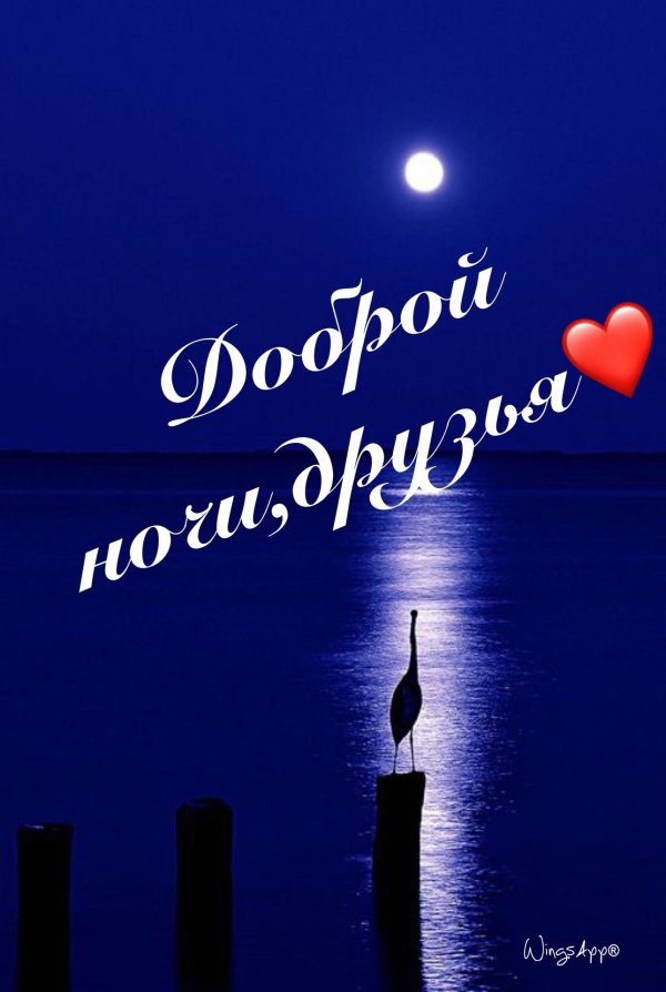 Доброй ночи саша мужчине