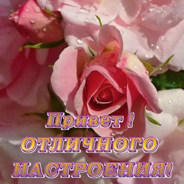 прекрасного настроения