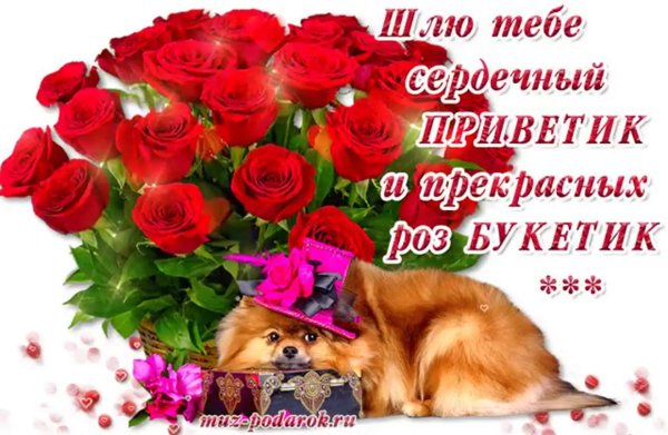 тебе букетик