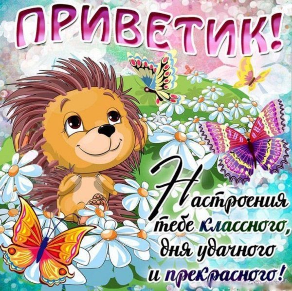 приветик открытка