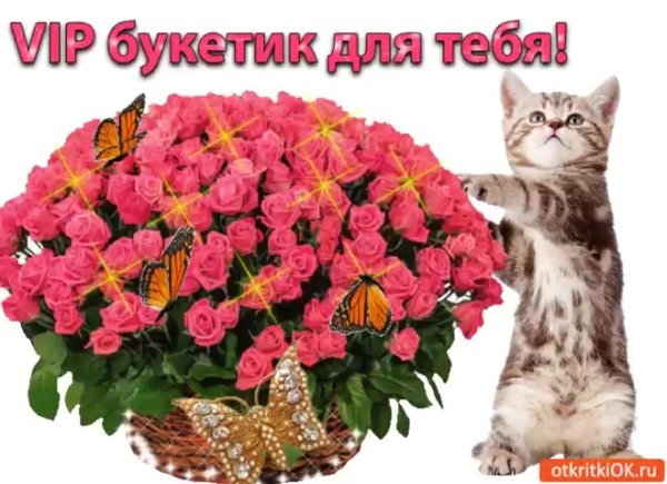 большие букеты цветов