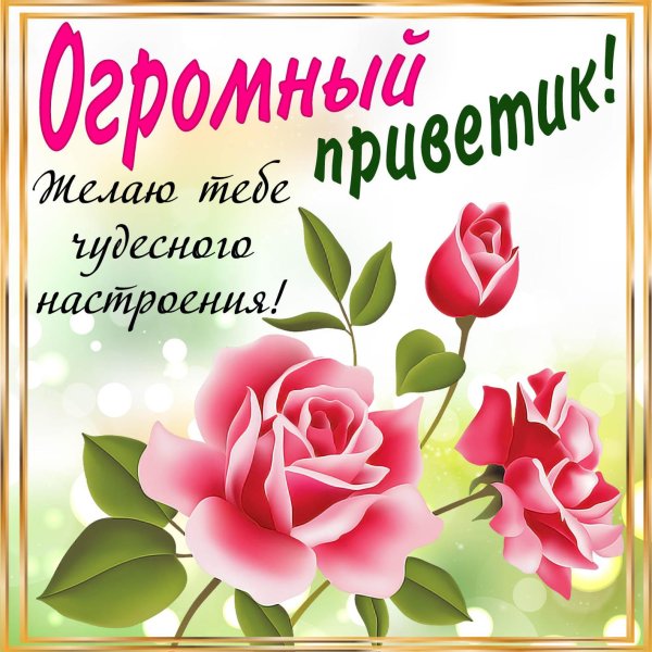 пожелания приветик