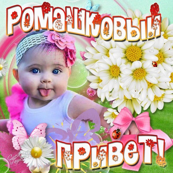 приветик красавица