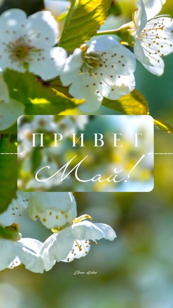 1 мая праздник весны и труда