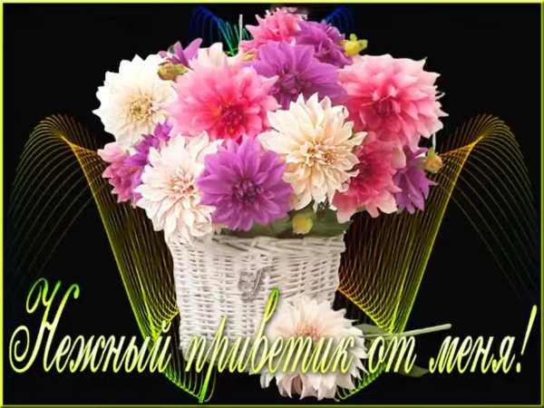 приветик мерцающие открытки