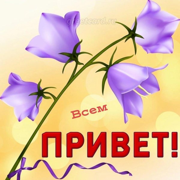 цветок колокольчик