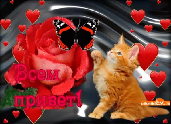 приветствие открытка