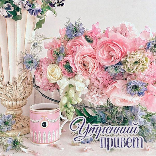 доброе утро цветы нежные