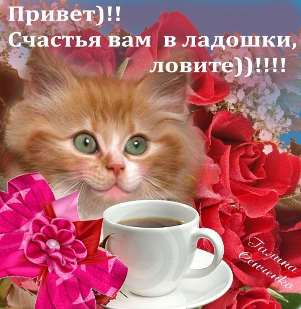 доброго прекрасного дня